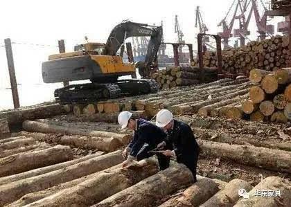 中美贸易战让中国进口木材有从东到西的趋势